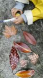 hojas-arboles-pintar-viveros-de-ulia-donostia